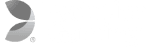 Evolution