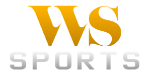 WS Gaming